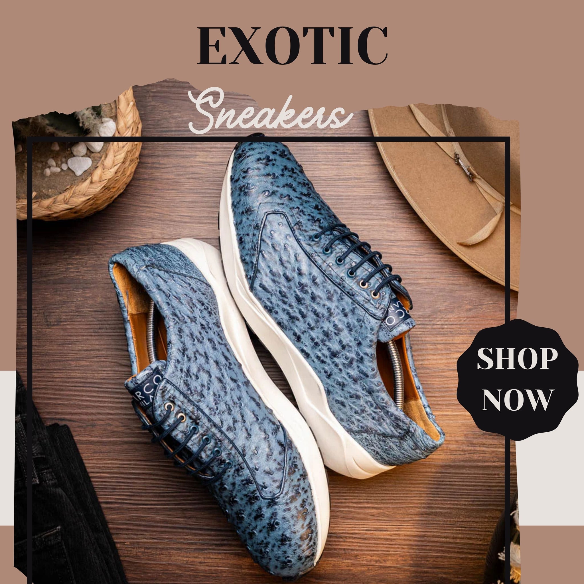 exotic sneakers
