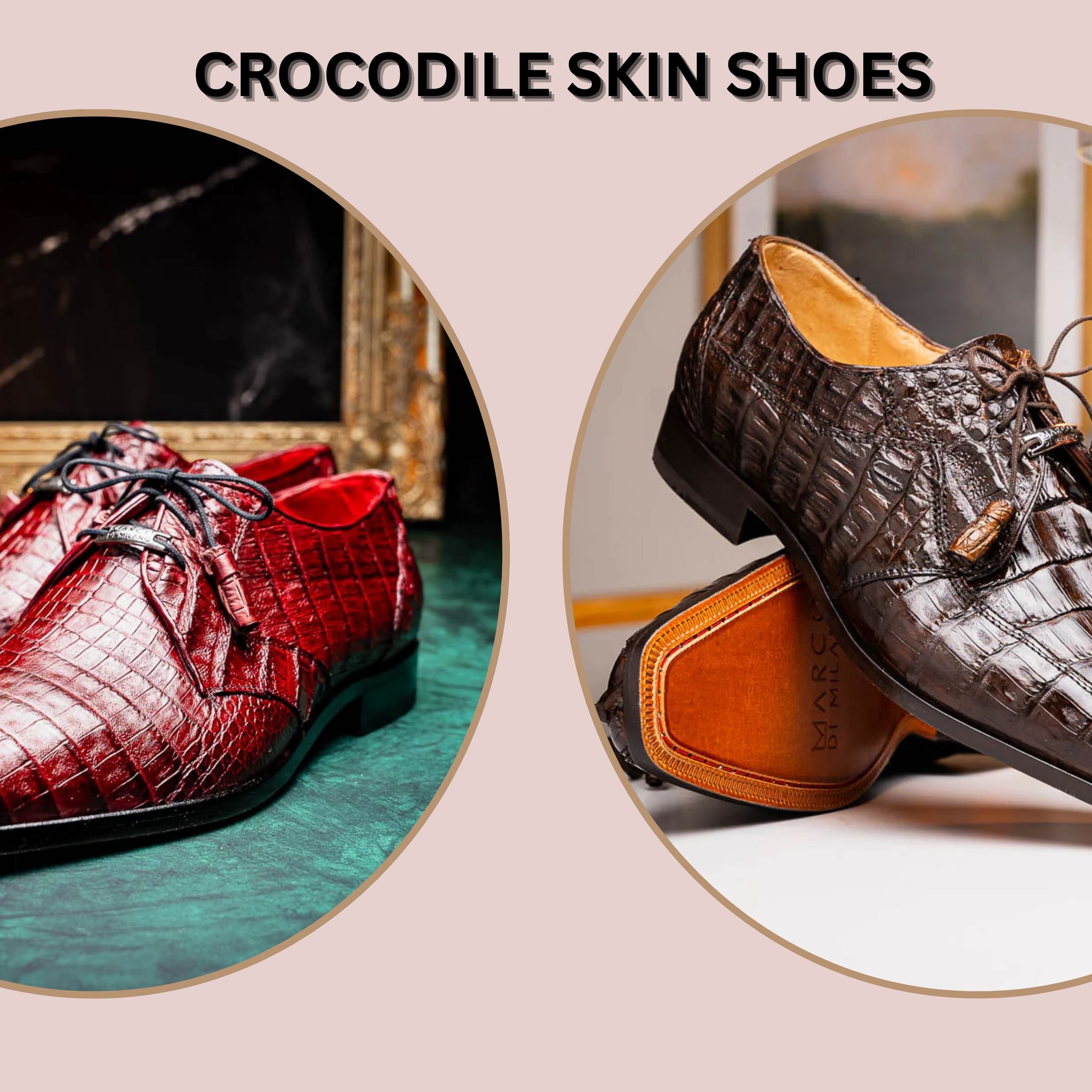 crocodile shoes