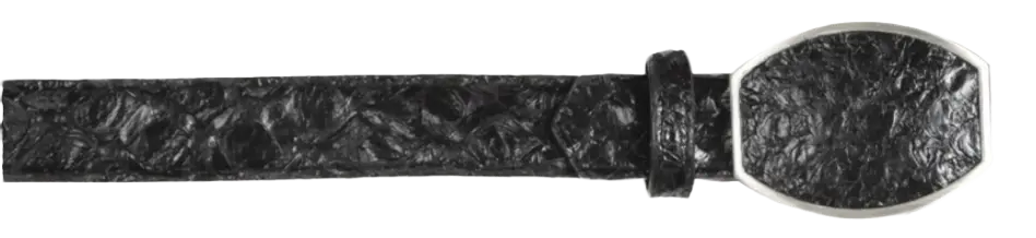Wild West 2C11A1005 Glossy Black Genuine Pirarucu Cowboy Belt
