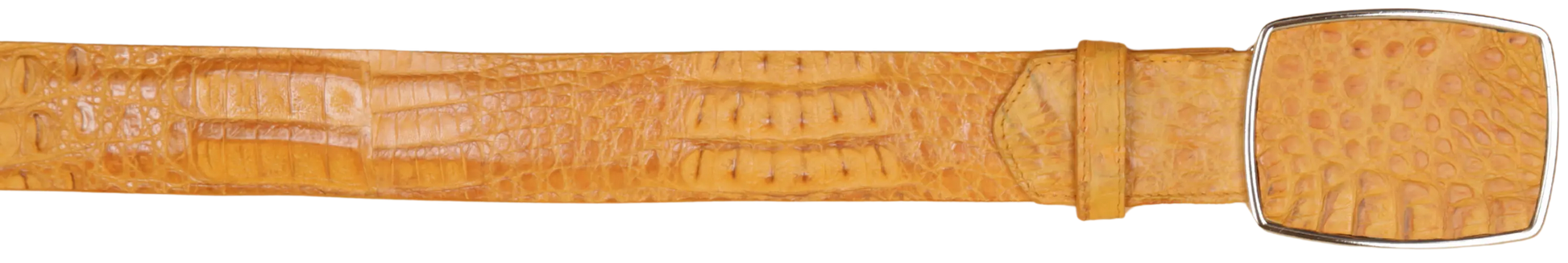 Wild West 2C11A0202 Buttercup Genuine Caiman Crocodile Hornback Cowboy Belt Suit Essence