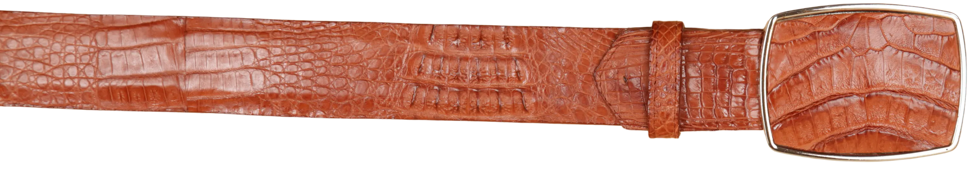Wild West 2C11A0203 Cognac Genuine Caiman Crocodile Hornback Cowboy Belt Suit Essence