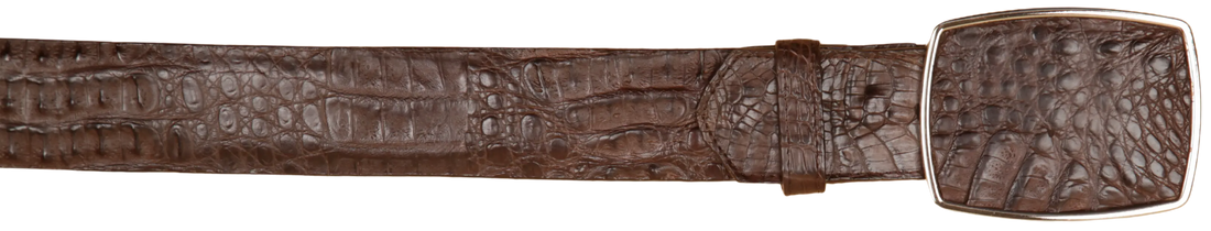 Wild West 2C11A0207 Brown Genuine Caiman Crocodile Hornback Cowboy Belt Suit Essence