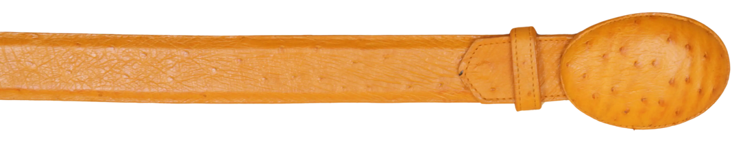 Wild West 2C11A0402 Buttercup Genuine Smooth Ostrich Cowboy Belt