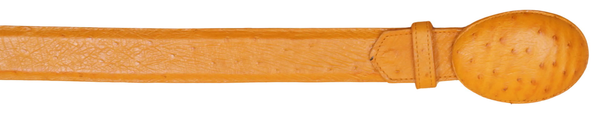 Wild West 2C11A0402 Buttercup Genuine Smooth Ostrich Cowboy Belt