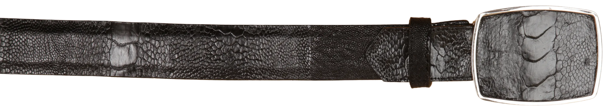 Wild West 2C11A0505 Black Genuine Ostrich Leg Cowboy Belt Suit Essence