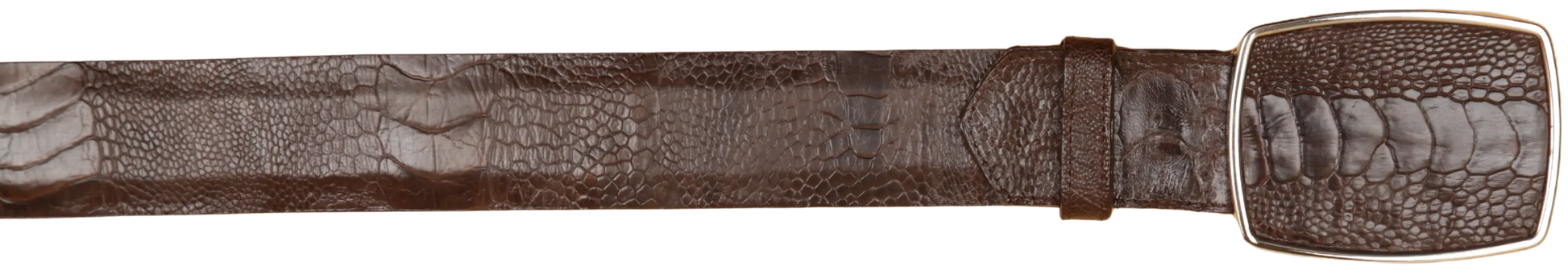 Wild West 2C11A0507 Brown Genuine Ostrich Leg Cowboy Belt Suit Essence