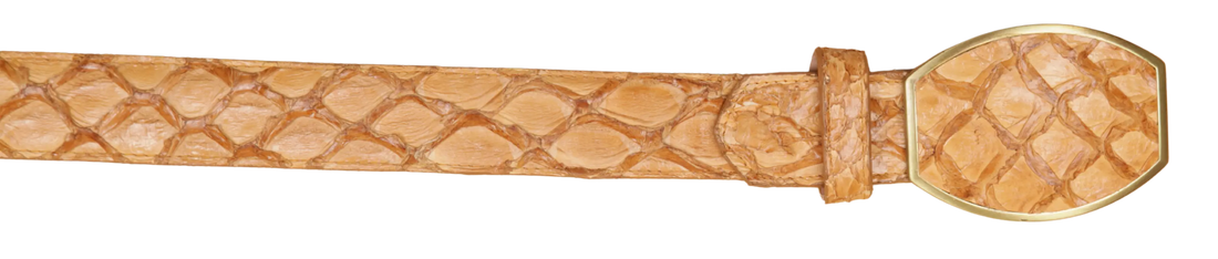 Wild West 2C11A1002 Buttercup Genuine Pirarucu Cowboy Belt Suit Essence