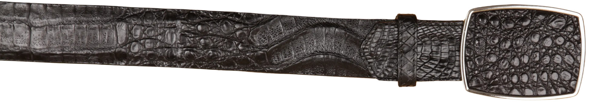 Wild West 2C11A8205 Black Genuine Caiman Crocodile Belly Cowboy Belt Suit Essence