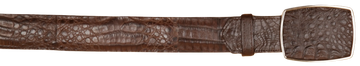 Wild West 2C11A8207 Brown Genuine Caiman Crocodile Belly Cowboy Belt Suit Essence
