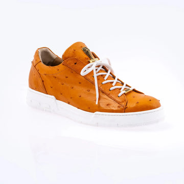 Mauri 8825/2 Tangerine Genuine Ostrich Sneakers