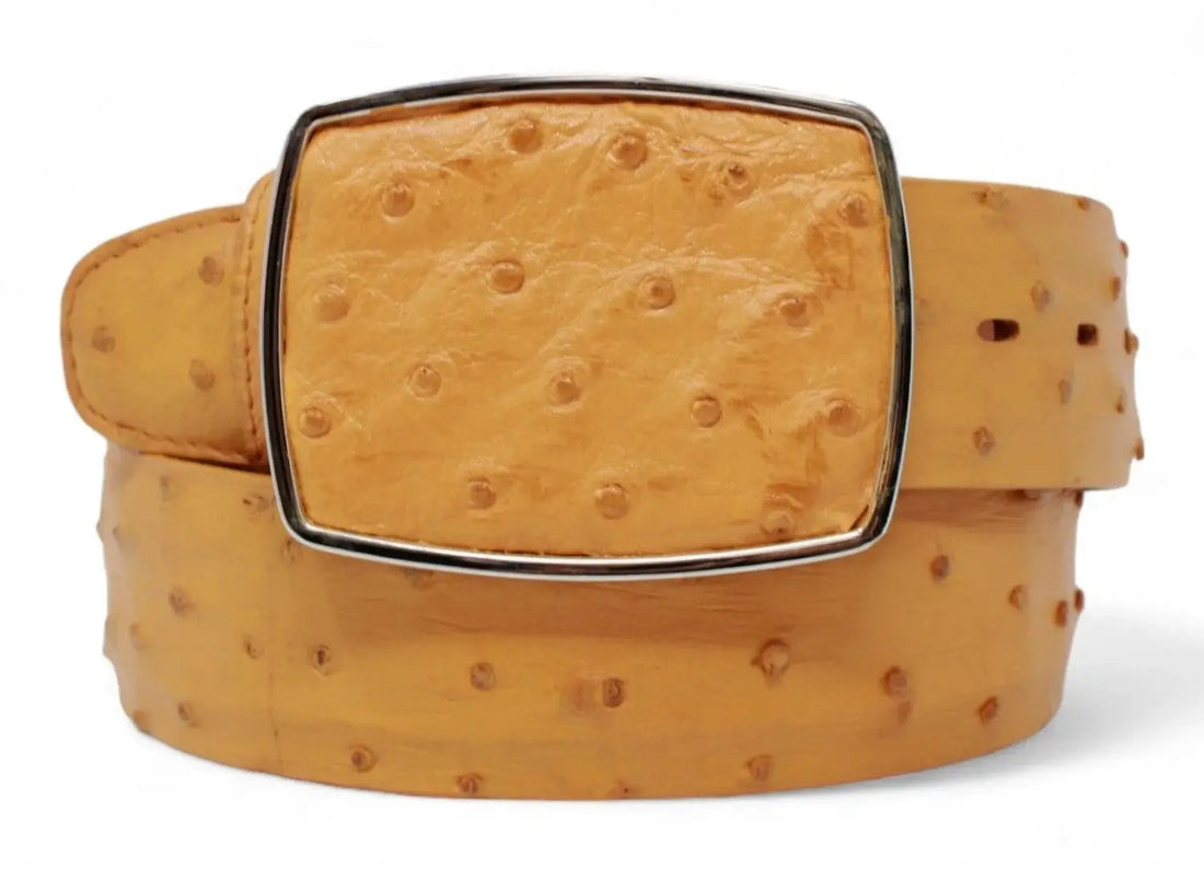 Los Altos C11A0302 Buttercup Genuine Ostrich Cowboy Belt
