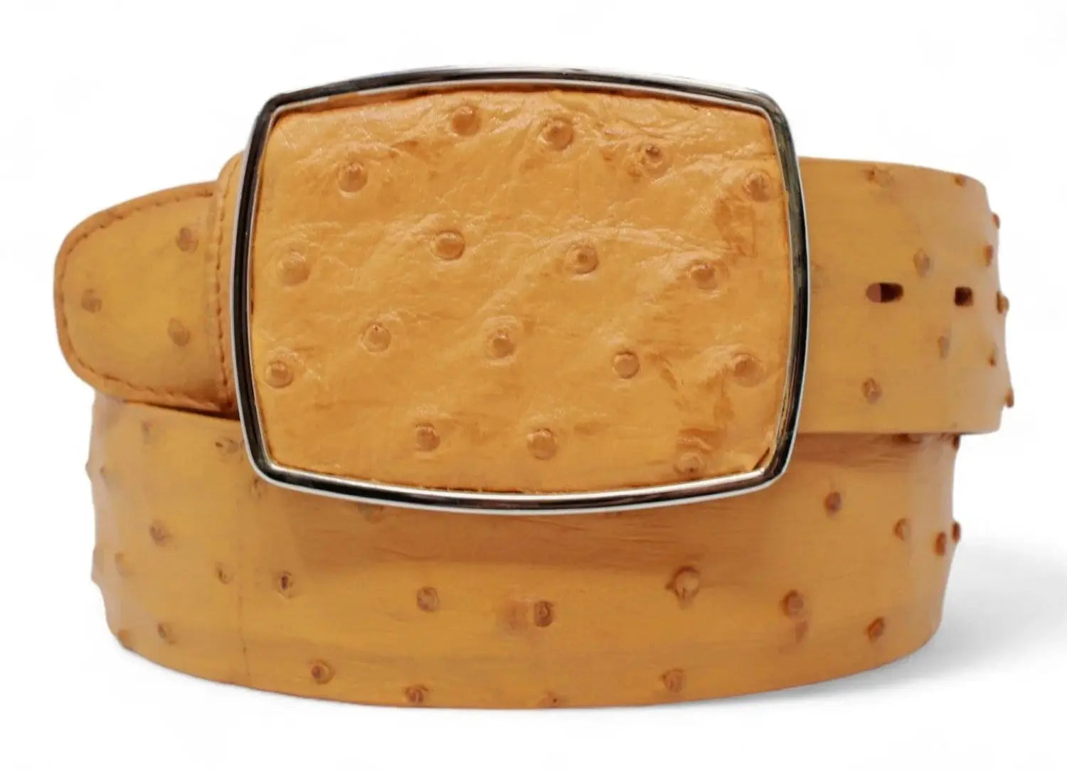 Los Altos C11A0302 Buttercup Genuine Ostrich Cowboy Belt
