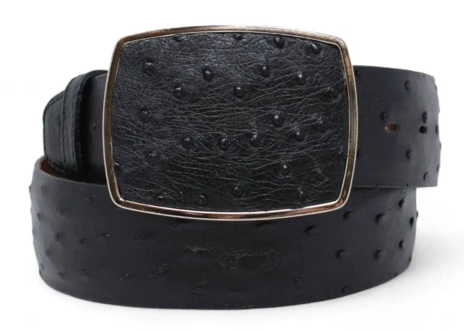 Los Altos C11A0305 Black Genuine Ostrich Cowboy Belt