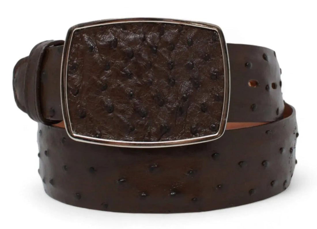Los Altos C11A0307 Brown Genuine Ostrich Cowboy Belt