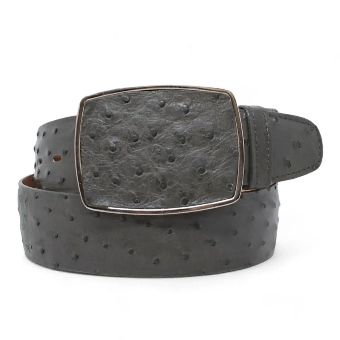 Los Altos C11A0309 Gray Genuine Ostrich Cowboy Belt Suit Essence