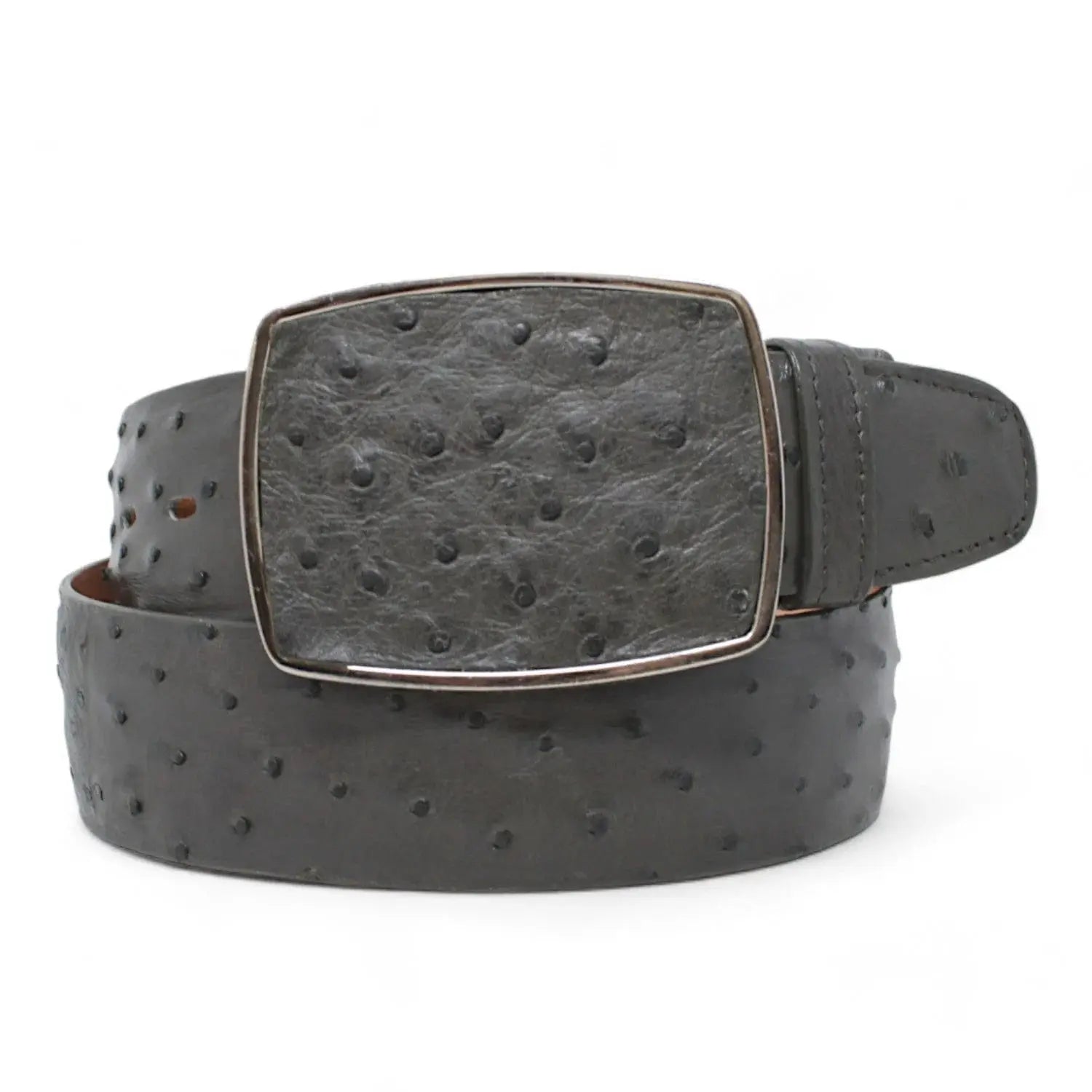 Los Altos C11A0309 Gray Genuine Ostrich Cowboy Belt Suit Essence