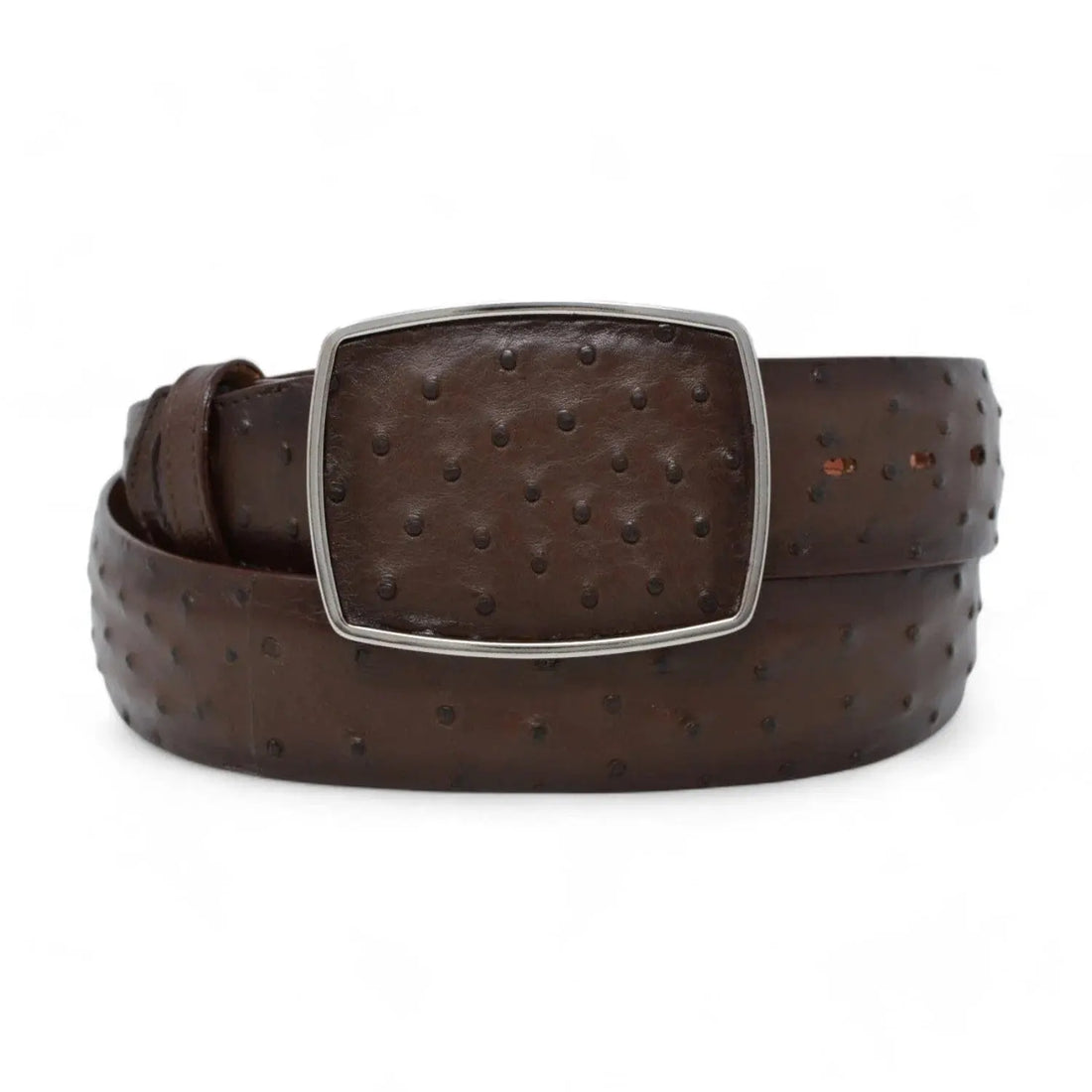 Los Altos C11A0316 Faded Brown Genuine Ostrich Cowboy Belt Suit Essence
