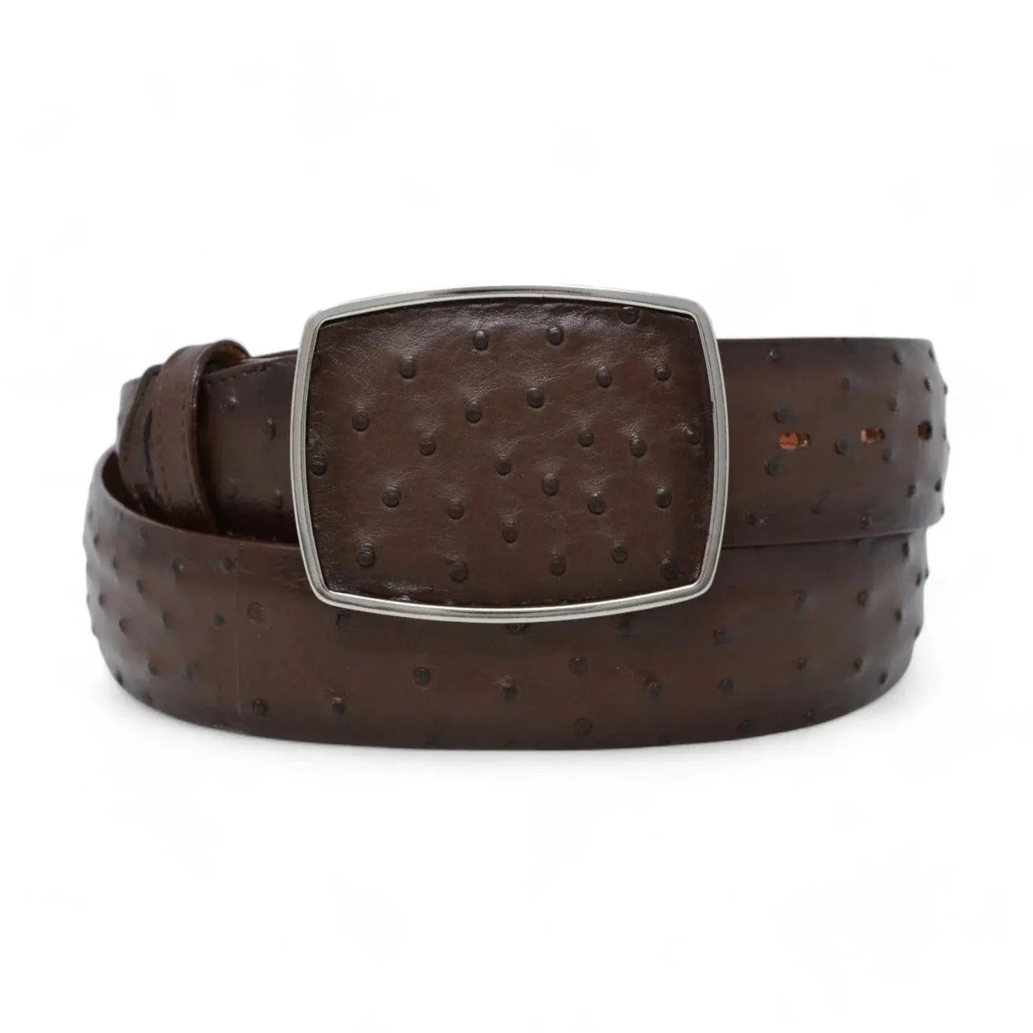 Los Altos C11A0316 Faded Brown Genuine Ostrich Cowboy Belt Suit Essence