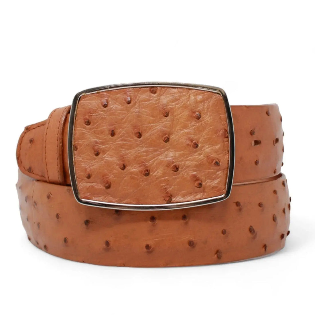 Los Altos C11A0351 Honey Genuine Ostrich Cowboy Belt Suit Essence