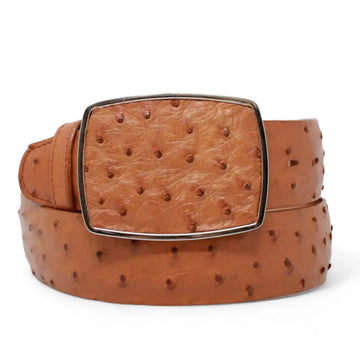 Los Altos C11A0351 Honey Genuine Ostrich Cowboy Belt Suit Essence