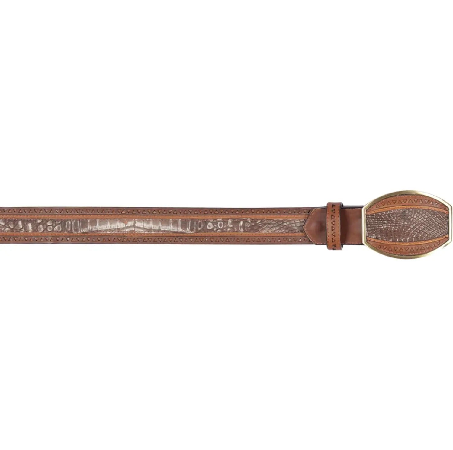 Los Altos C24U8250 Lisboa Brown Genuine Caiman Belly Belt