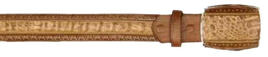 Los Altos C25U8272 Mocha Genuine Caiman Crocodile Belly Cowboy Belt