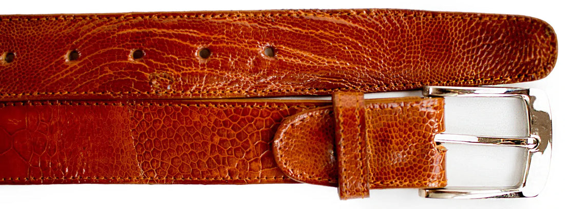Belvedere 2000 Burned Amber Genuine Ostrich Leg Belt
