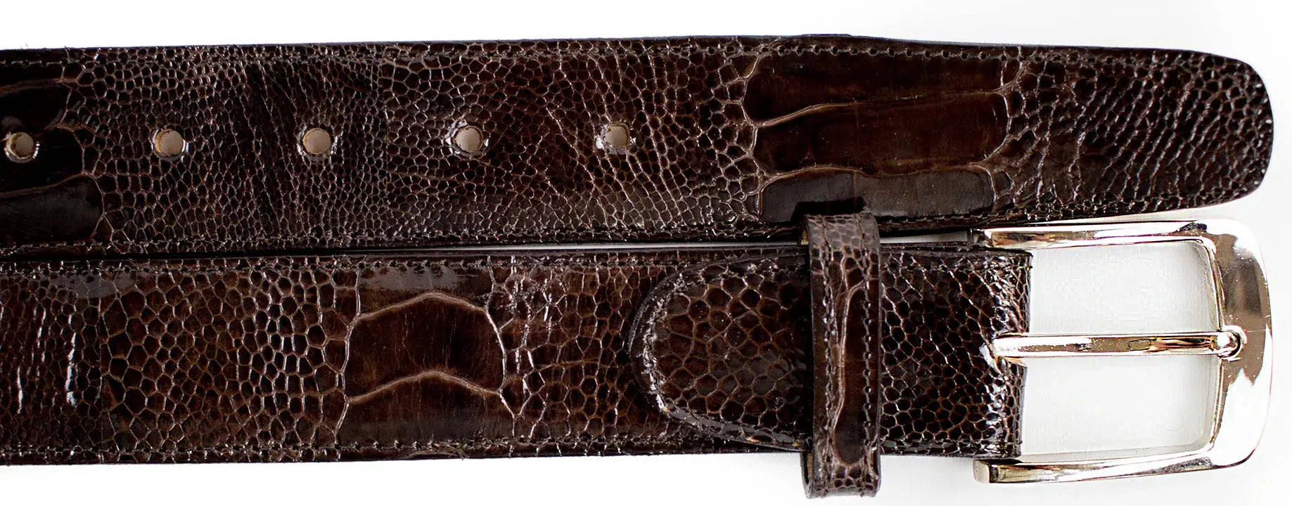 Belvedere 2000 Chocolate Brown Genuine Ostrich Leg Belt