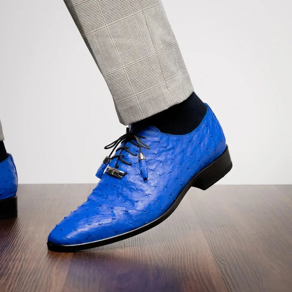 Marco Di Milano Criss Electric Blue Genuine Ostrich Oxfords