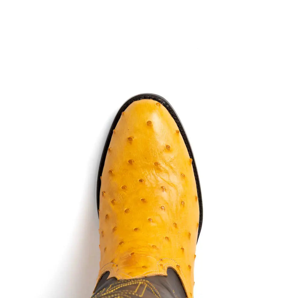 Marco Di Milano Savannah Buttercup Genuine Ostrich Cowboy Boots